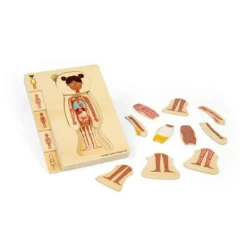 Bigjigs Female Human Anatomy Puzzle