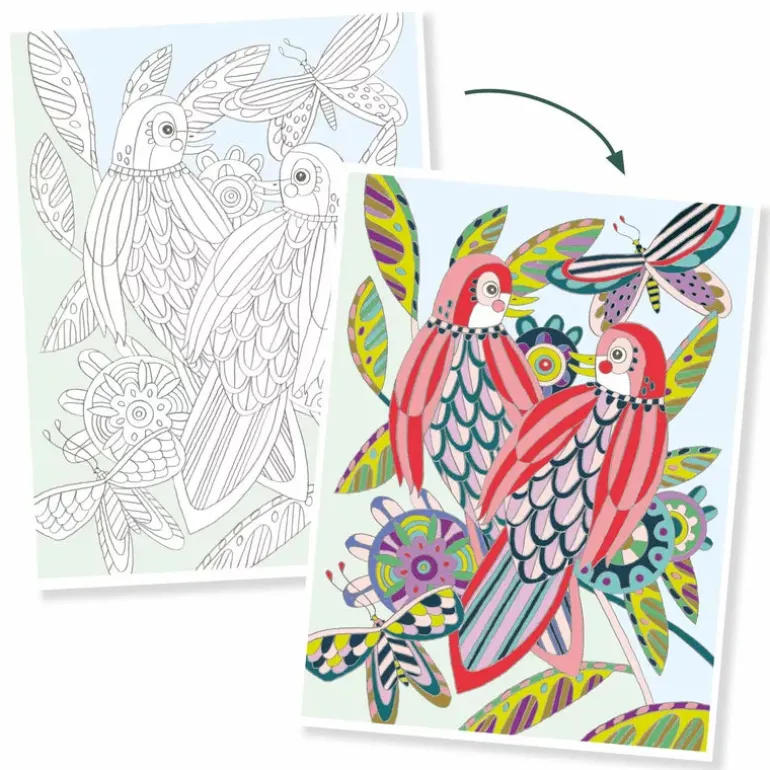 Djeco Large size colouring Birds