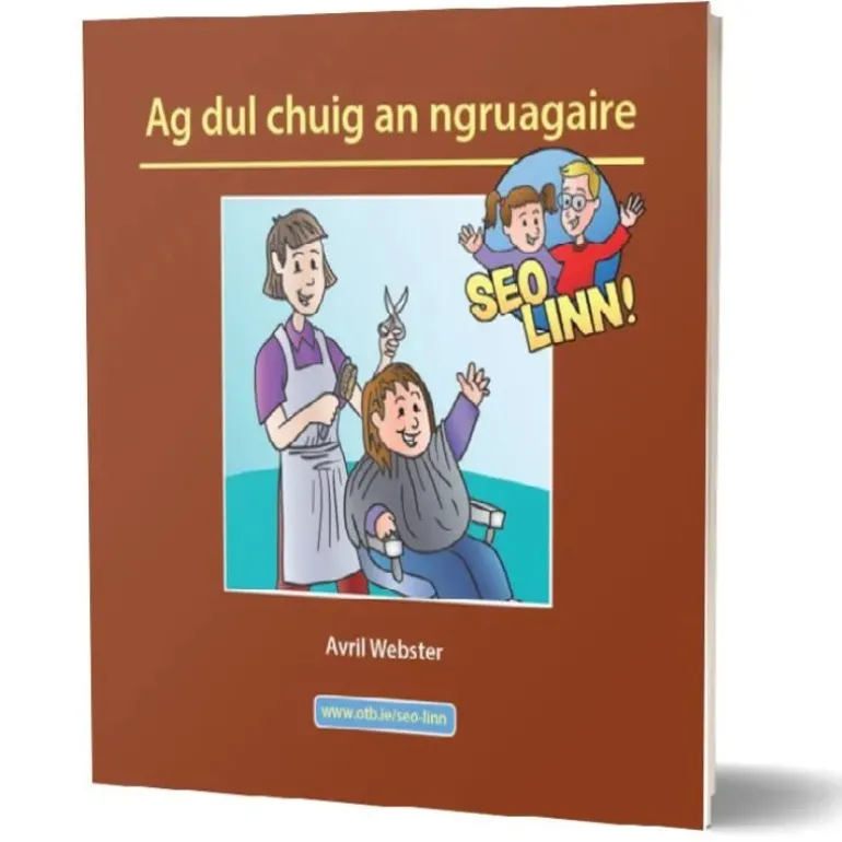 Seo linn! – Scéalta Sóisialta Ag dul chuig an ngruagaire