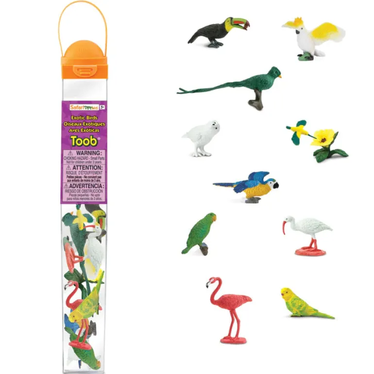 TOOBS® Figurines Exotic Birds